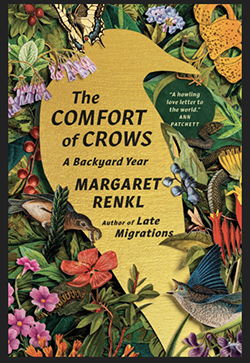 The Comfort of Crows book cover